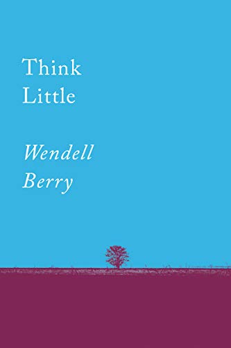 Book Cover Think Little: Essays (Counterpoints Series)