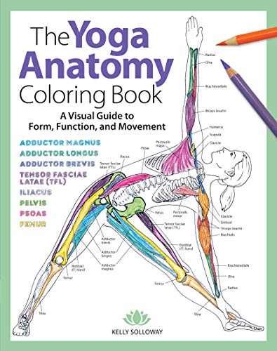 Book Cover The Yoga Anatomy Coloring Book: A Visual Guide to Form, Function, and Movement (Volume 1)