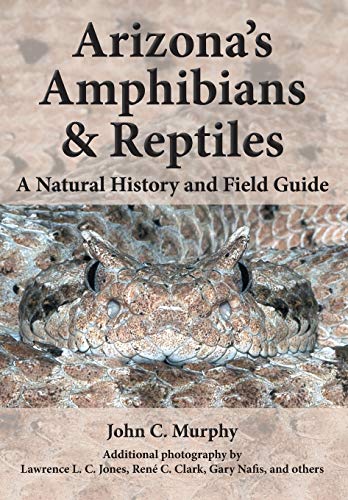 Book Cover Arizona's Amphibians & Reptiles: A Natural History and Field Guide