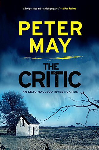 Book Cover The Critic (The Enzo Files)