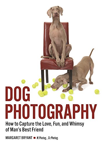 Book Cover Dog Photography: How to Capture the Love, Fun, and Whimsy of Man's Best Friend