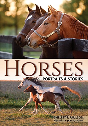 Book Cover Horses: Portraits & Stories