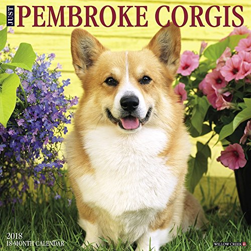 Just Pembroke Corgis 2018 Calendar