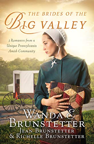 Book Cover The Brides of the Big Valley: 3 Romances from a Unique Pennsylvania Amish Community
