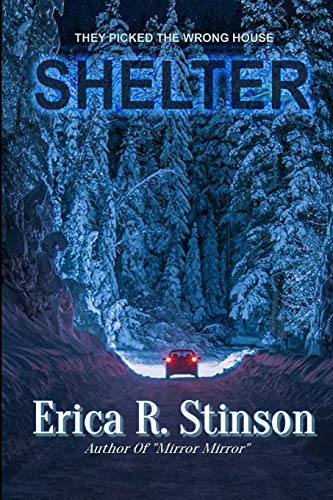 Book Cover Shelter: A Gripping Suspense Thriller