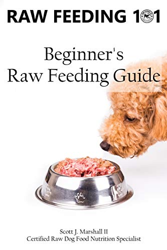 Book Cover Raw Feeding 101: Beginner's Raw Feeding Guide