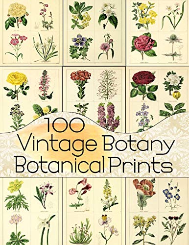 Book Cover 100 Vintage Botany Botanical Prints (Floral Ephemera Series)