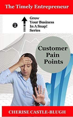 Book Cover Customer Pain Points (Grow Your Business in a Snap!)