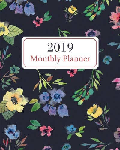 Book Cover 2019 Monthly Planner: A Monthly Planner for 2019: Starts September 2018, with At a Glance and Daily Schedule, Reminders, and Goals