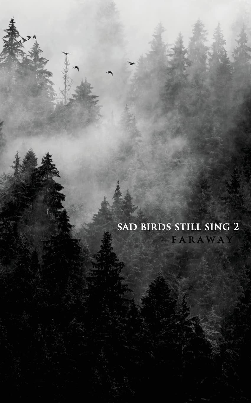 Book Cover Sad Birds Still Sing 2