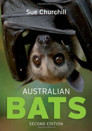 Australian Bats