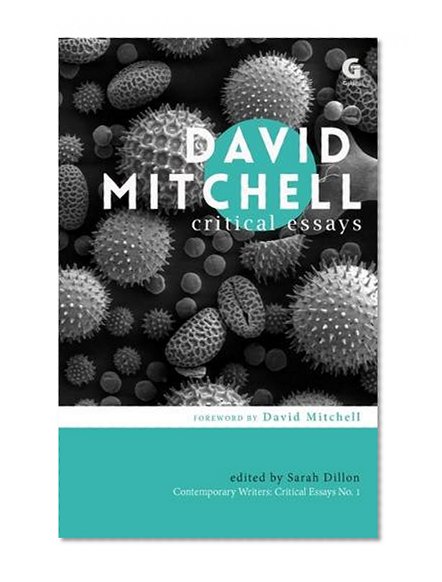 David Mitchell: Critical Essays (Contemporary Writers: Critical Essays)