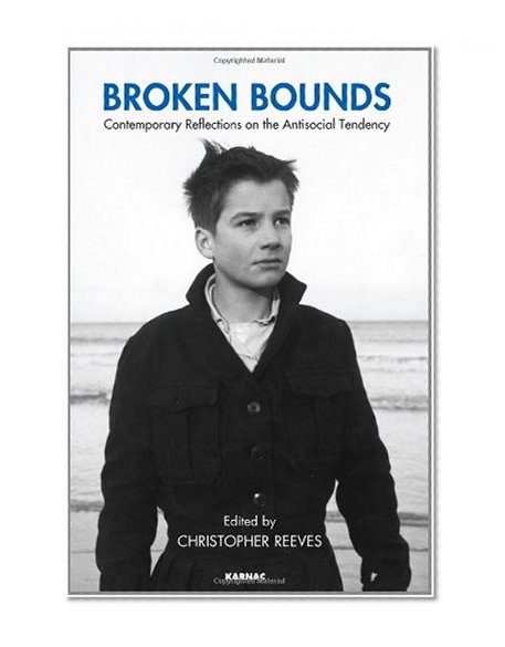 Broken Bounds: Contemporary Reflections on the Antisocial Tendency (Winnicott Studies Monograph Series)