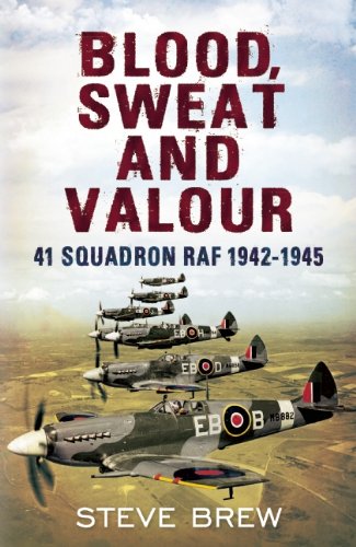 Blood Sweat and Valour: 41 Squadron RAF 1942-1945
