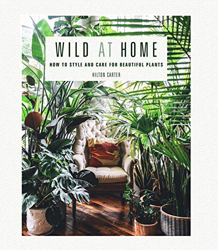 Book Cover Wild at Home: How to style and care for beautiful plants