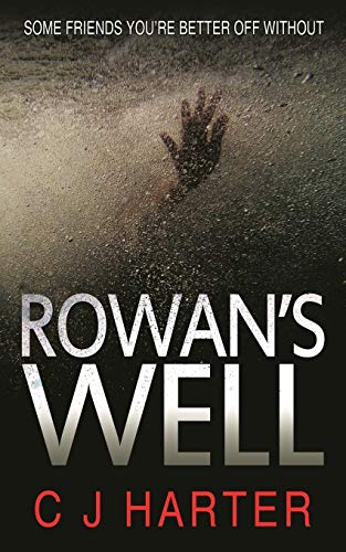 Book Cover Rowan's Well