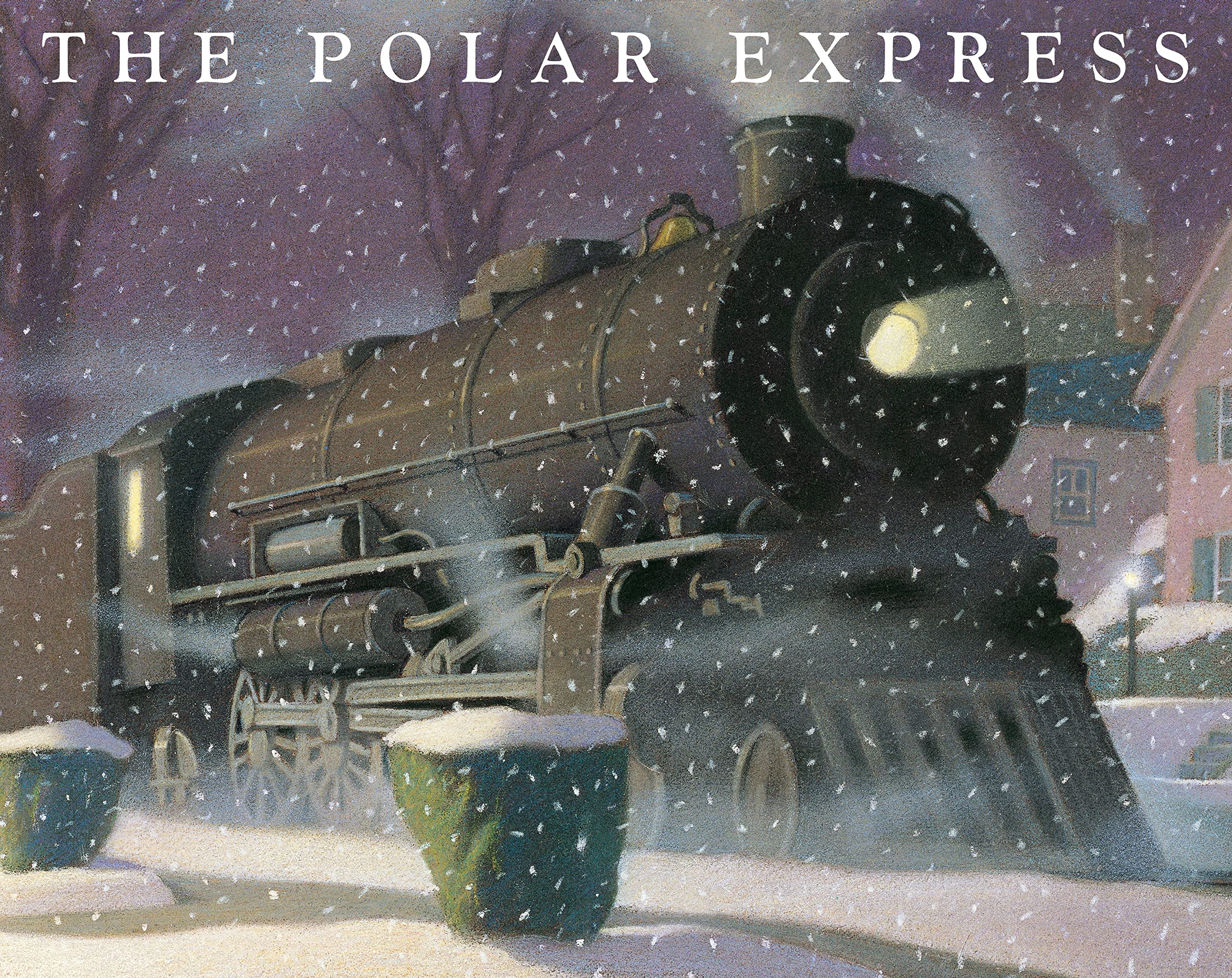 Book Cover Polar Express