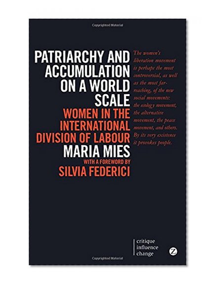 Patriarchy and Accumulation on a World Scale: Women in the International Division of Labour (Critique. Influence. Change.)