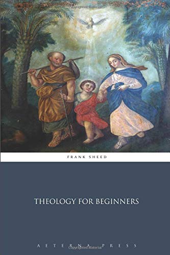Book Cover Theology for Beginners