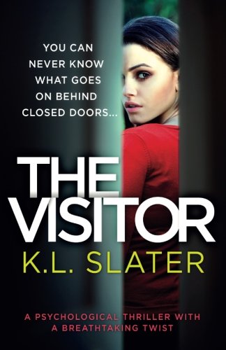 Book Cover The Visitor: A psychological thriller with a breathtaking twist