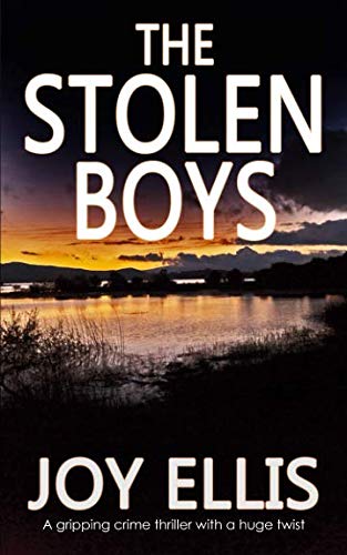 Book Cover THE STOLEN BOYS a gripping crime thriller with a huge twist