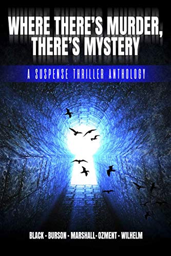 Book Cover Where There's Murder, There's Mystery: A Suspense Thriller Anthology