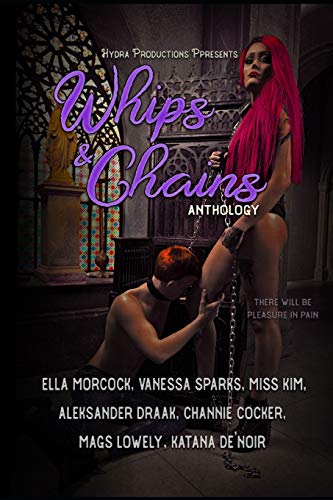 Book Cover Whips & Chains