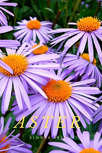 Book Cover Aster: Flower Journal Notebook (110 Pages, 6'' x 9'')