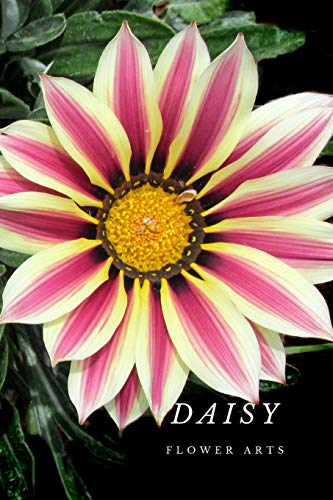 Book Cover Daisy: Flower Journal Notebook (110 Pages, 6'' x 9'')
