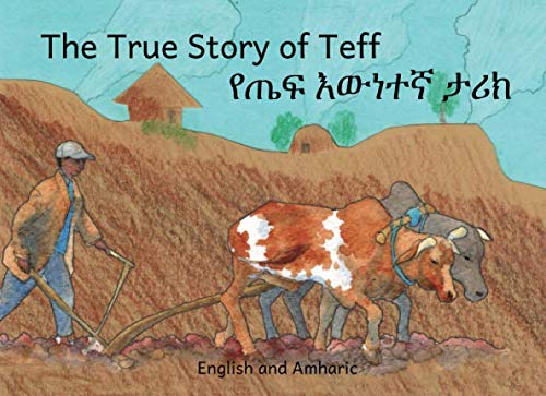 Book Cover The True Story of Teff: in English and Amharic