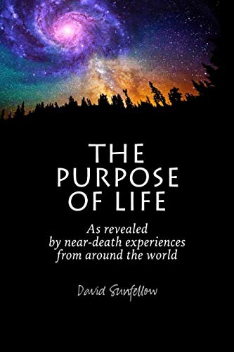 Book Cover The Purpose of Life as Revealed by Near-Death Experiences from Around the World