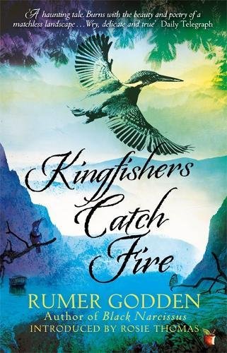 Book Cover Kingfishers Catch Fire (Virago Modern Classics)