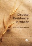 Disease Resistance in Wheat (CABI Plant Protection Series)