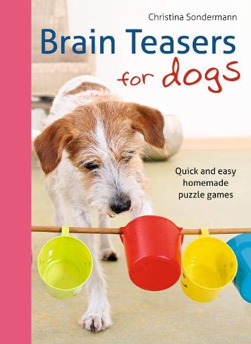 Book Cover Brain Teasers for Dogs: Quick and Easy Homemade Puzzle Games
