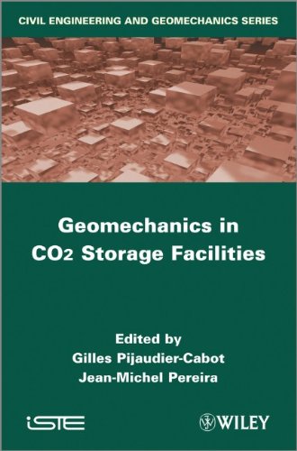 Geomechanics in CO2 Storage Facilities