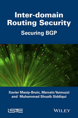Inter Domain Routing Security (Iste)