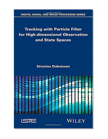 Tracking with Particle Filter for High-dimensional Observation and State Spaces (Focus)