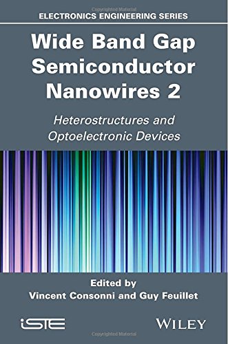 Wide Band Gap Semiconductor Nanowires for Optical Devices (Electronic Engineering)