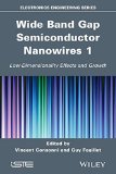 Wide Band Gap Semiconductor Nanowires for Optical Devices: Low-Dimensionality Related Effects and Growth (Electronics Engineering)