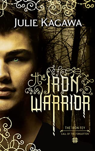 Book Cover Iron Warrior