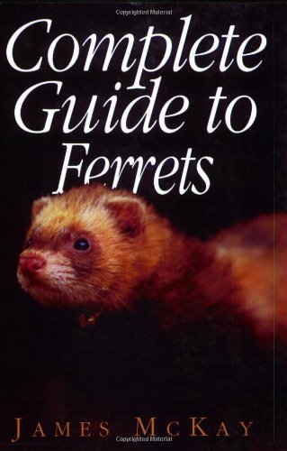 Complete Guide to Ferrets