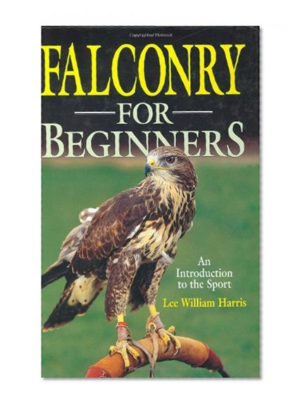 Falconry For Beginners