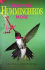 Enjoying Hummingbirds More