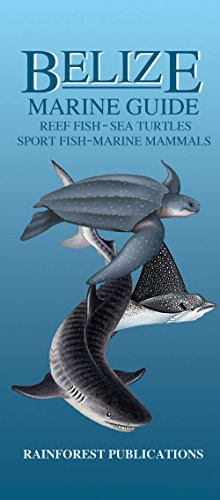 Book Cover Belize Marine Guide: Reef Fish, Marine Mammals, Sport Fish, Sea Turtles (Costa Rica Field Guides S.)