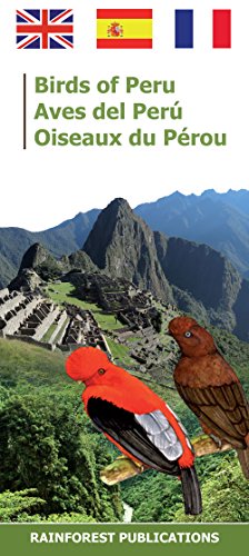 Book Cover Peru Birds (Laminated Foldout Pocket Field Guide) (English and Spanish Edition)