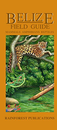 Book Cover Belize Wildlife Guide - Mammals, Reptiles, Amphibians (Laminated Foldout Pocket Field Guide) (English and Spanish Edition)