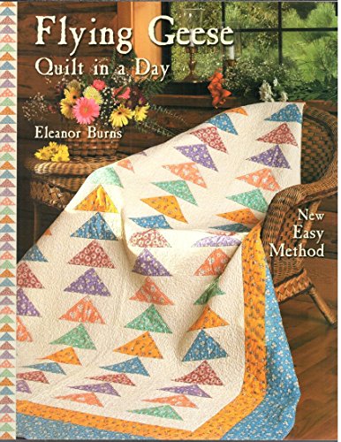 Book Cover Flying Geese Quilt in a Day