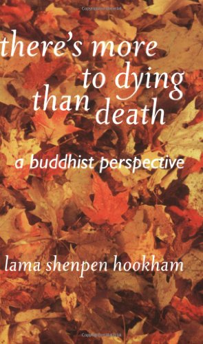 Book Cover There's More to Dying than Death: A Buddhist Perspective