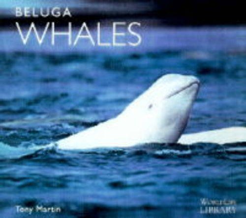 Beluga Whales (Worldlife Library)