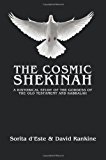 The Cosmic Shekinah